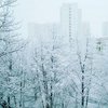 На Москву обрушился самый сильный снегопад за зиму (фото) 