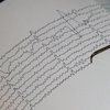 В Японии ложное предупреждение о землетрясении вызвало масштабную панику