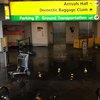 Аэропорт Нью-Йорка затопило из-за прорыва водопровода (видео)