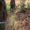 Українські військові звільнили село у Волновахському районі