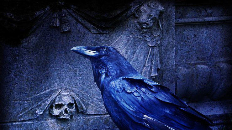 На древнем кладбище нашли странное захоронение. Илл.: pixabay.com
