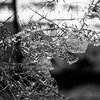 Жительница Днепра разбила головой лобовое стекло маршрутки