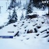 Рання зима: Карпати засипало снігом