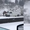 Верблюд оказался в плену снежного шторма (видео)