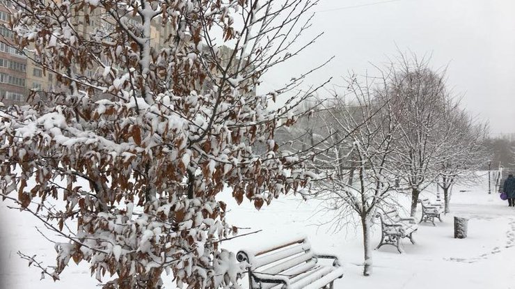Фото: снег в Украине 