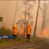 Австралію охопили лісові пожежі