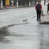 Коллапс в Житомире: город полностью остановился (фото и видео)