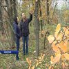 Екологічний вандалізм: хто знищує ліс під Миколаєвом?