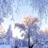Погода на неделю: в Украину идет аномальный мороз 