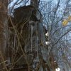 Под Киевом иномарка застряла на дереве (фото) 