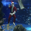 Санта-Клаус з оленем пірнули у акваріум Токіо