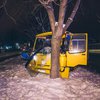 В Киеве маршрутка с пассажирами сбила пешехода и "влетела" в дерево (видео)