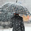 Погода в Украине: страну засыплет мокрым снегом