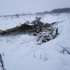 Авиакатастрофа в России: опубликован список погибших 