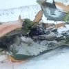 Авиакатастрофа в России: появилось первое видео с места падения
