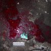 В Киеве возле метро мужчина с ножом напал на людей 
