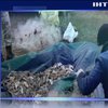 На Одещині затримали браконьєрів з неймовірним виловом