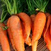 Здоровье: в чем польза и опасность моркови