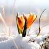 27 февраля День Кирилла: приметы о погоде 