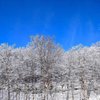 Погода на 7 февраля: синоптики обещают сильные морозы 