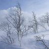 Погода на 18 марта: Украину накроют два холодных циклона