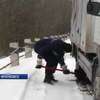 На Прикарпатье десятки автомобилей спасли из снежной ловушки (видео)