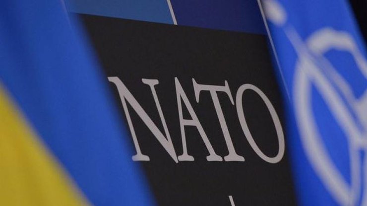 В НАТО дали важный совет Украине.
