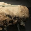 В Австралии случайно нашли древнюю египетскую мумию 