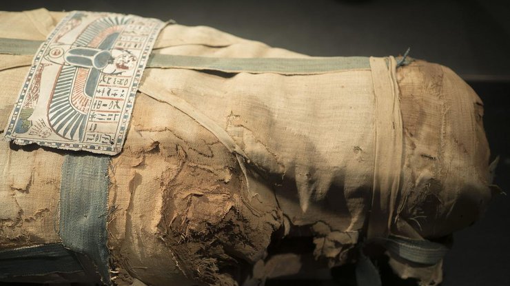 Египетская мумия (иллюстрация)