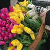 "Женщины за мир" поздравили с 8 марта жительниц Донбасса