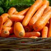 Морковь полезна для здоровья человека - медики