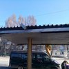 Жители Днепра разобрали остановку на металлолом (фото)