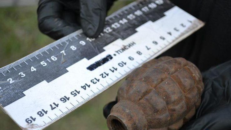В Донецкой области в школе нашли гранату