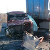В России грузовик протаранил микроавтобус: погибли 13 человек
