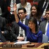 В Совбезе ООН представили проект новой резолюции по Сирии 