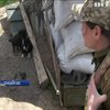 Война на Донбассе: боевики обстреляли позиции ВСУ 21 раз