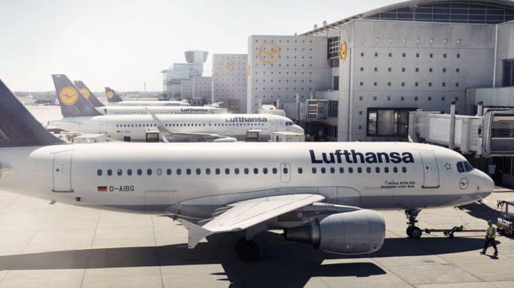 Lufthansa отменила около половины рейсов. Фото: slovoidilo.ua