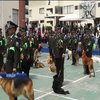 У Еквадорі провели на пенсію поліцейських собак (відео)
