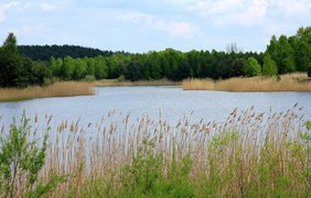 na-prirode-podtsepili-putani-bez-prezz