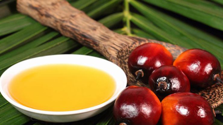 Рада намерена запретить использование пальмового масла