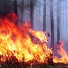 Пожар в Киеве: на левом берегу пылает лес
