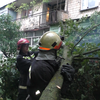 В Черновцах ураган вырвал деревья и разбил автомобили (видео)