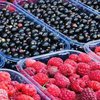 Цены на фрукты и ягоды: что дешевле всего (инфографика)