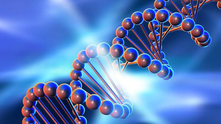 В США разработали быстрый метод синтез ДНК