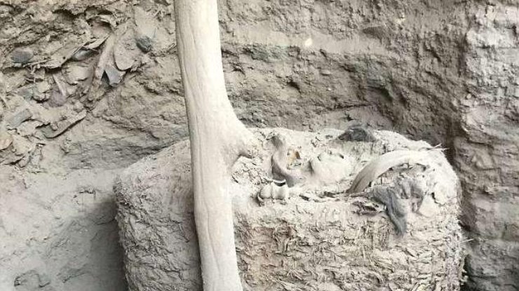 1000-летняя мумия
