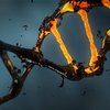 Тест ДНК: что можно узнать о себе из результатов 
