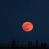 Лунное затмение 27 июля: где и когда смотреть