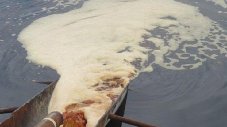 Попадание ядов в реку повлечет масштабную экологическую катастрофу. Илл. фото: zn.ua