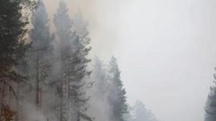 Калифорнию охватили лесные пожары