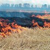 Донбасс в огне: уничтожены урожай и техника